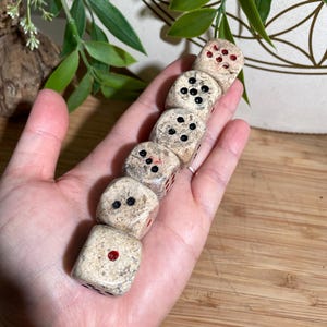 ONE Fossilized Coral Crystal Dice, Unique