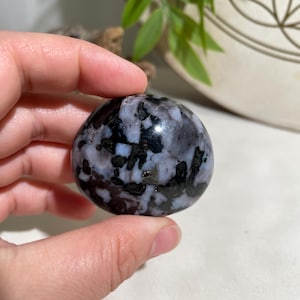 Indigo Gabbro/Mystic Merlinite Crystal Mini Palmstone