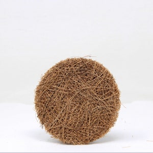 May include: A round, brown, natural fiber scrubber made from coconut fibers. The scrubber is about 3 inches in diameter and is perfect for cleaning dishes or other surfaces.