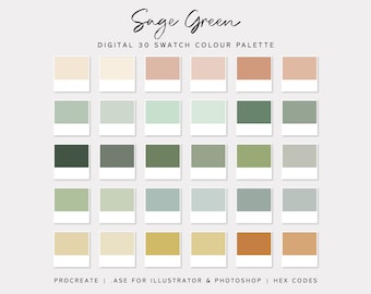 Sage Green | Digital Colour Palette Swatches Download | Procreate | Photoshop & Illustrator | Goodnotes | Hex Codes | Canva