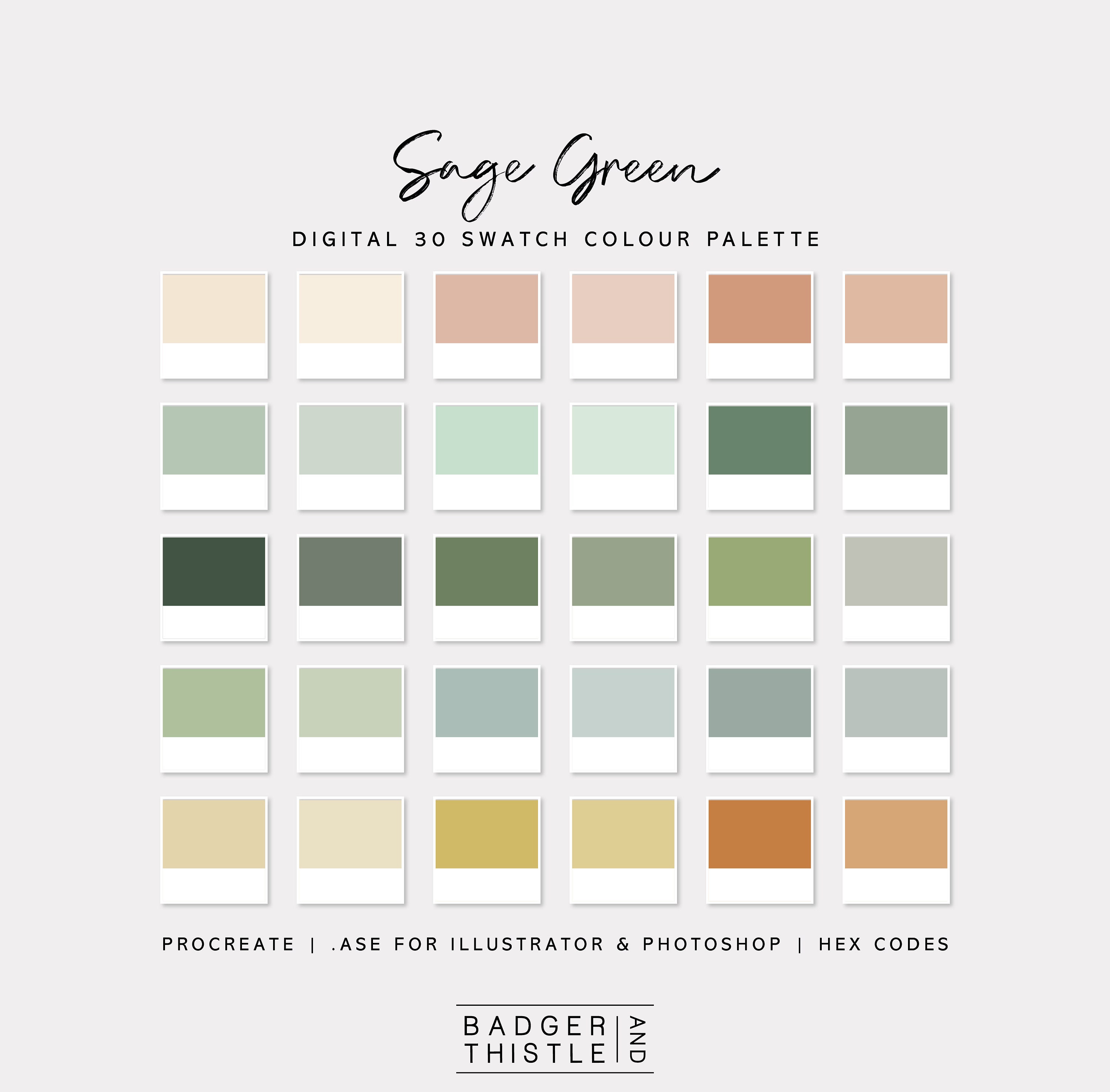 Sage Green Digital Colour Palette Swatches Download Procreate Photoshop &  Illustrator Goodnotes Hex Codes Canva -  Canada