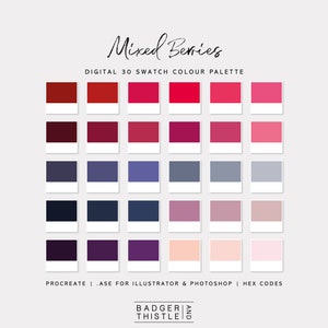Mixed Berries | Digital Colour Palette Swatches Download | Procreate | Photoshop & Illustrator | Goodnotes | Hex Codes | Canva