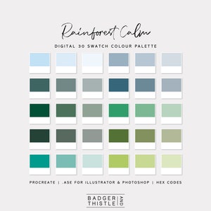 Rainforest Calm | Digital Colour Palette Swatches Download | Procreate | Photoshop & Illustrator | Goodnotes | Hex Codes | Canva