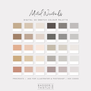 Muted Neutrals | Digital Colour Palette Swatches Download | Procreate | Photoshop & Illustrator | Goodnotes | Hex Codes | Canva
