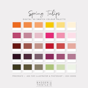 Peut inclure: Une palette de couleurs numérique intitulée "Spring Tulips" avec 30 échantillons de couleurs. La palette comprend des nuances d'orange, de rose, de jaune et de vert. Le texte en bas indique la compatibilité avec Procreate, Illustrator et Photoshop, ainsi que les codes HEX.