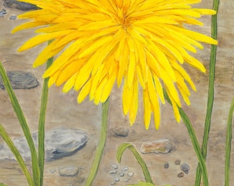 Dandelion Botanical Painting Art Print, Dandelion Wall Art