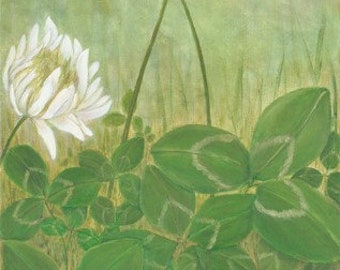 Clovers with Flowers Botanical Painting Art Print, Clover Wall Art