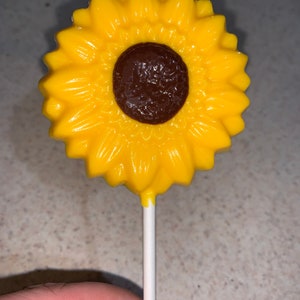 One dozen Sunflower Chocolate Pop