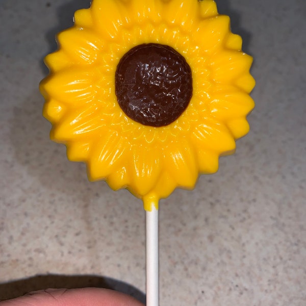 Ein Dutzend Sonnenblumen Schoko Pop