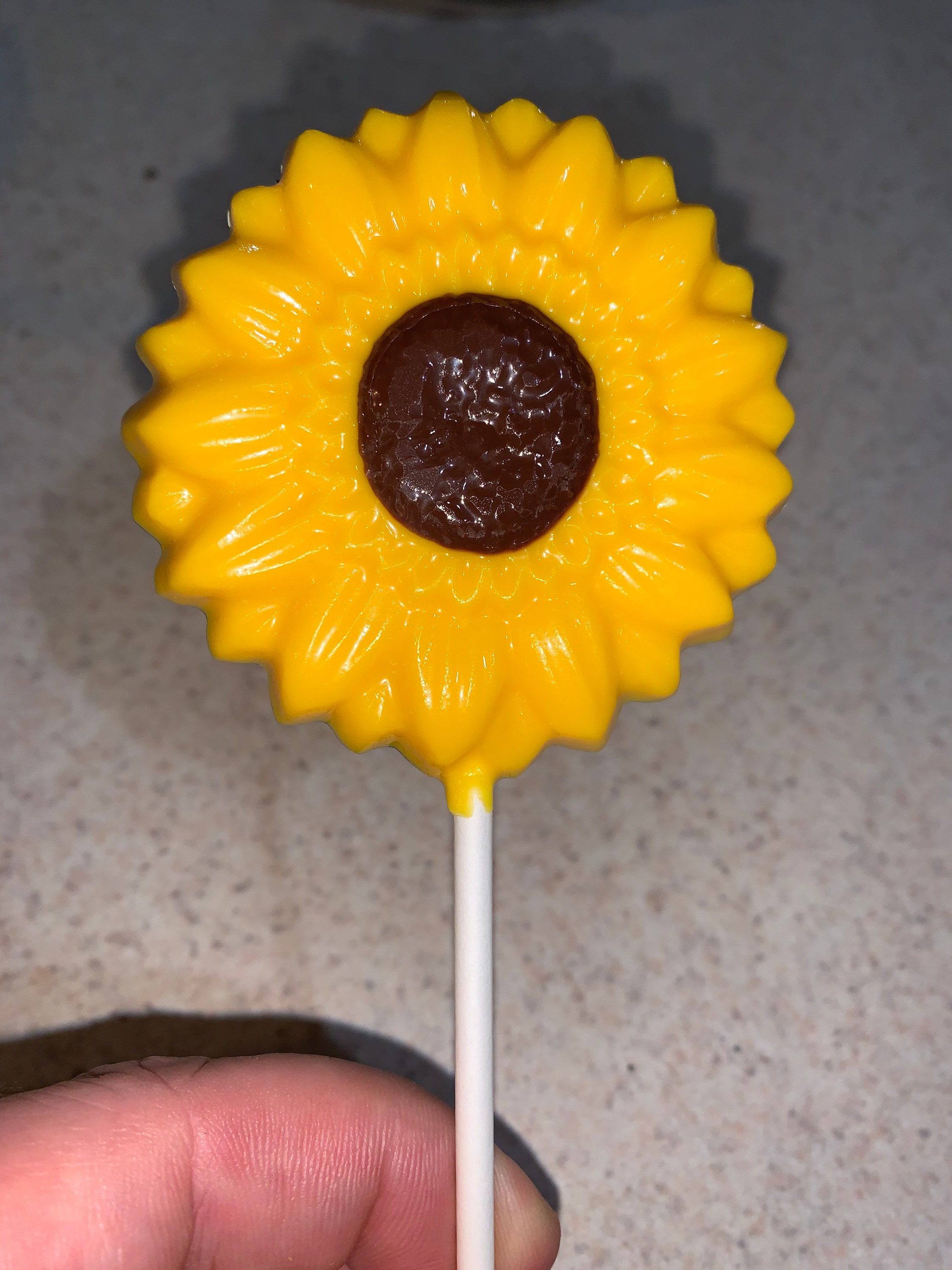 One dozen Sunflower Chocolate Pop
