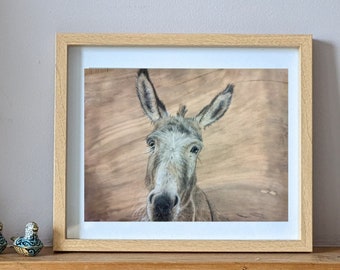 Donkey Giclee Print (unframed)