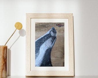 Badger Giclee Print (unframed)