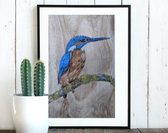 Kingfisher Giclee Print A4 (unframed)