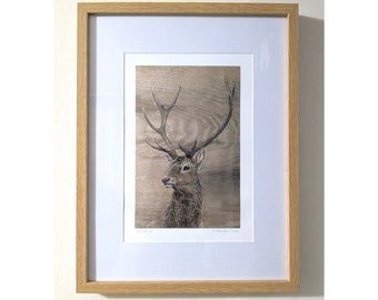 Framed Stag Giclee Print