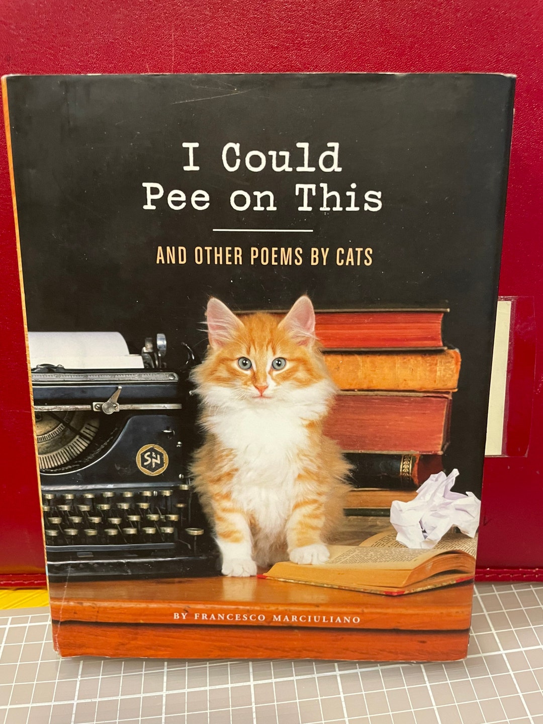 Funny Cat Book Etsy