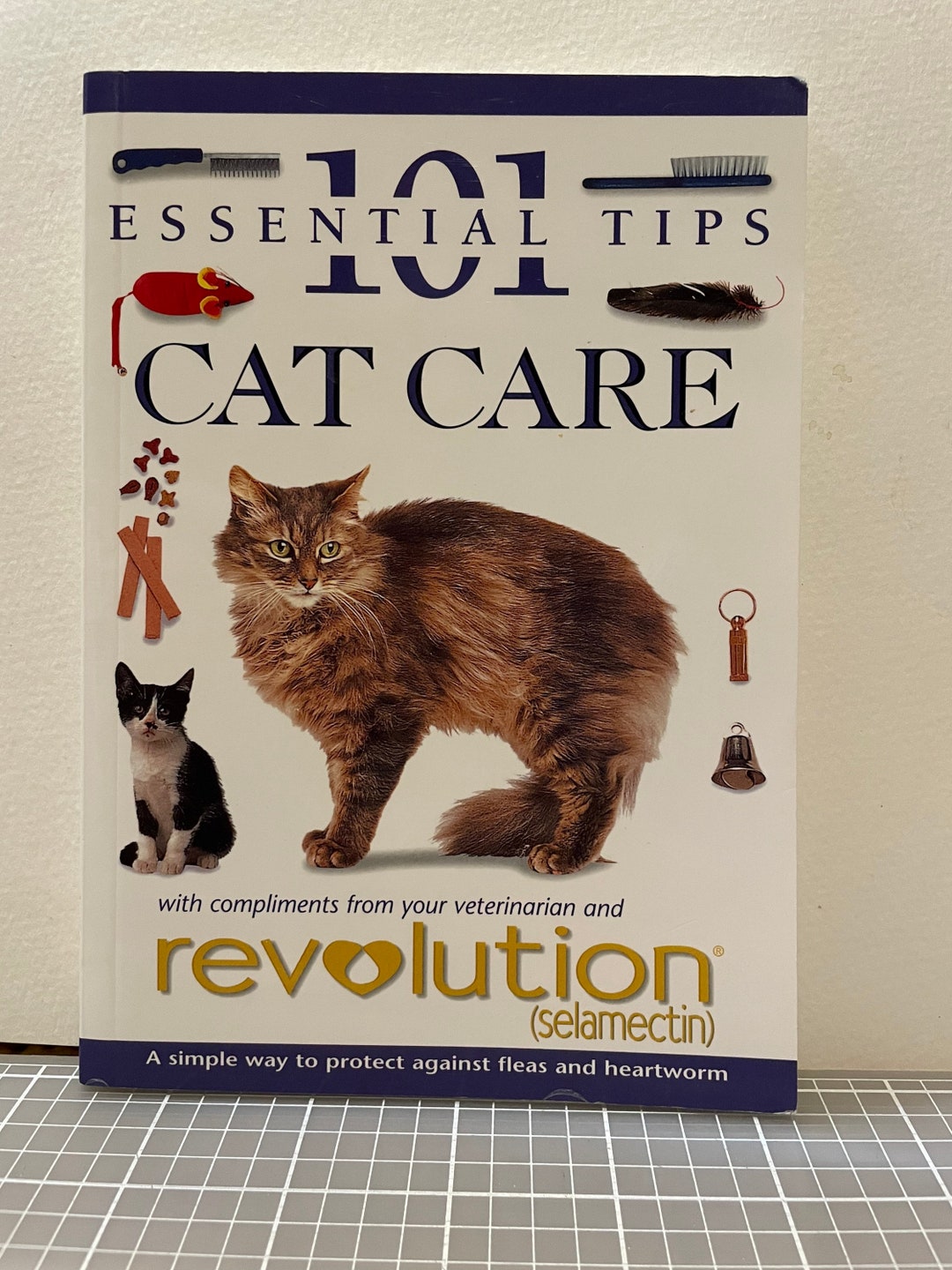 Cat Care 101 Essential Tips Etsy