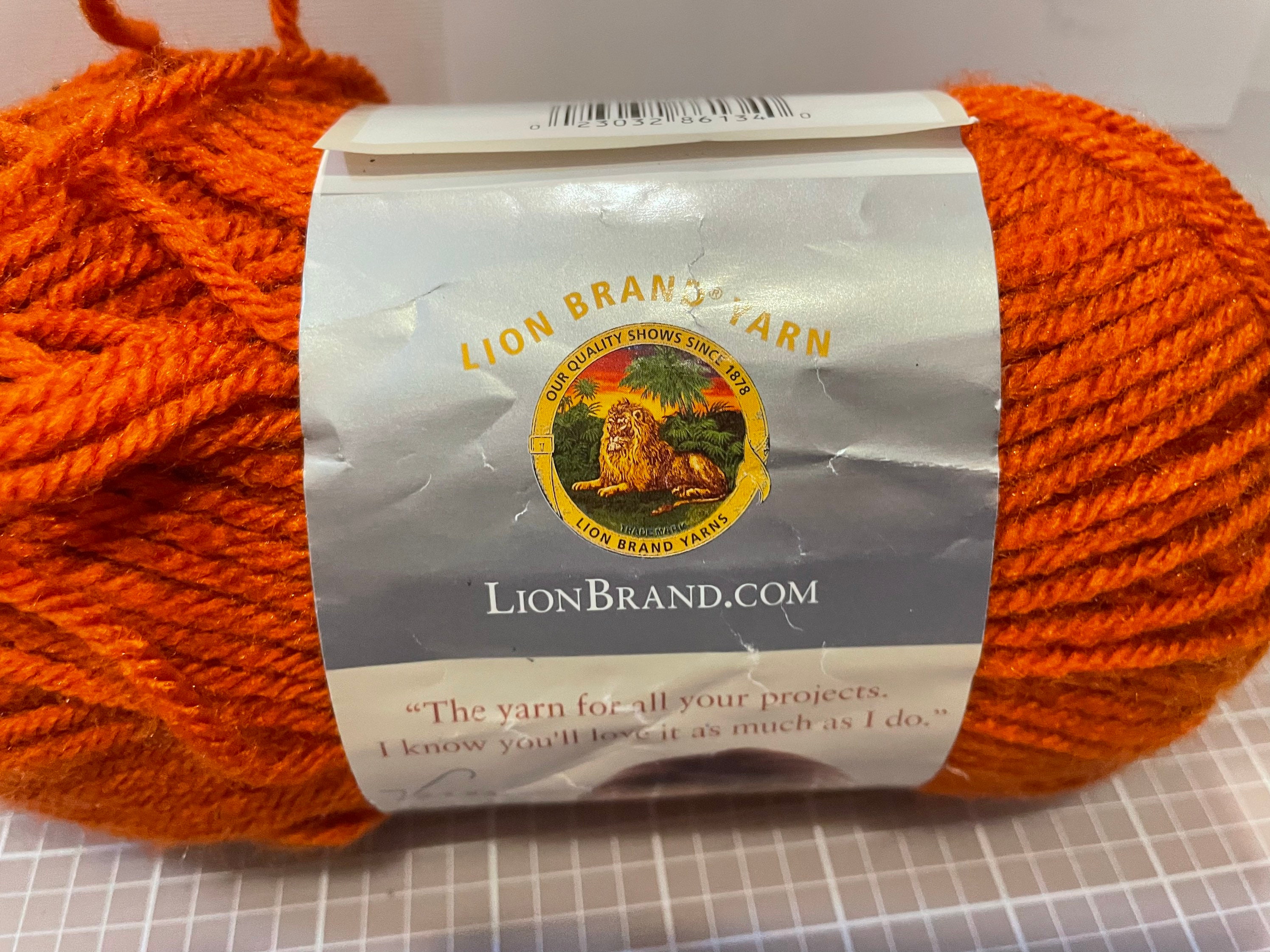 I Love This Yarn in Terra Cotta Color, Yarn in a Mix of Deep Burnt
