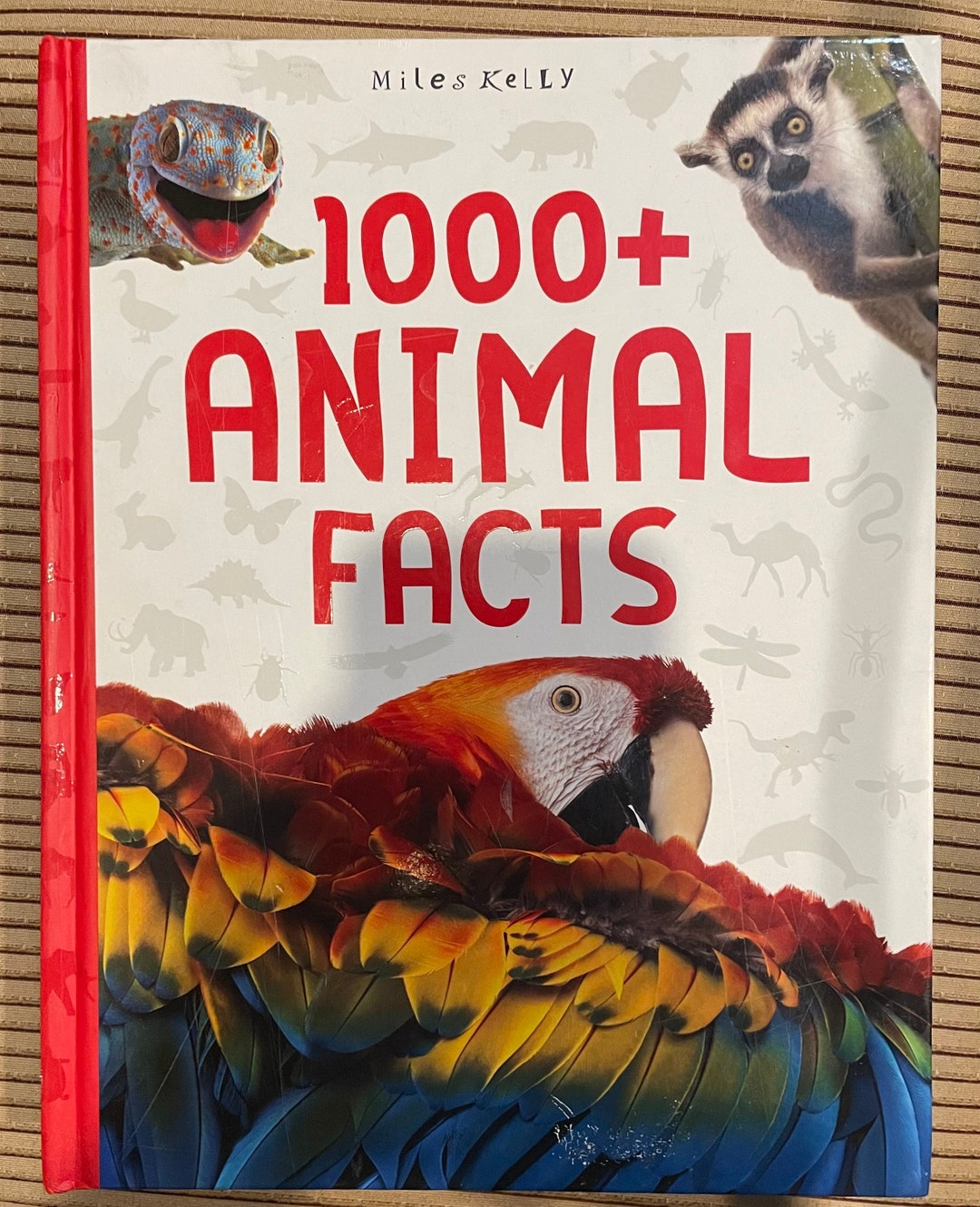 1000 Animal Facts Kids Book - Etsy 1000 Animal Facts Kids Book - Etsy