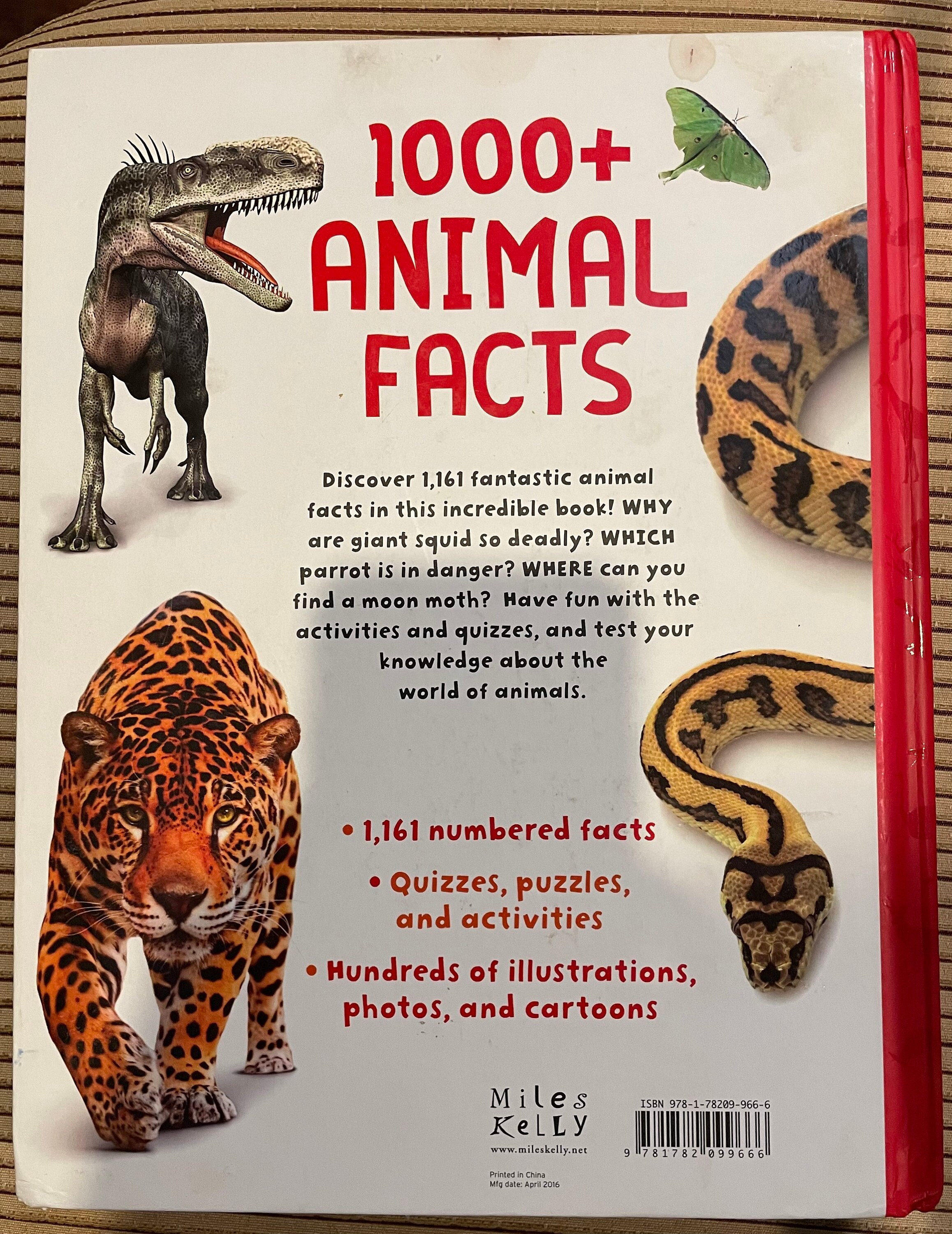 1000 Animal Facts Kids Book - Etsy Singapore 1000 Animal Facts Kids Book - Etsy Singapore
