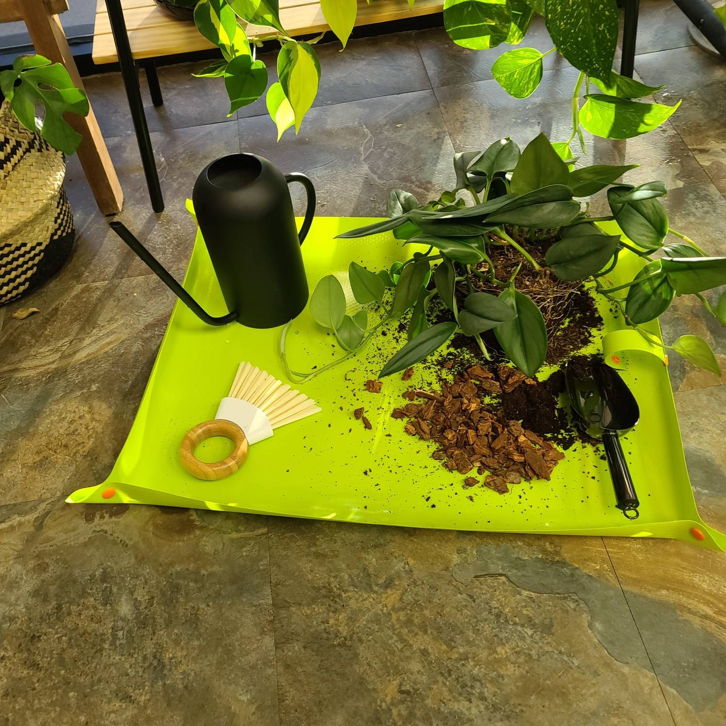 Indoor Plant Potting Mat Plant Dad Mom Plant Lady Gift Gardening Gift Transplanting Plant Mat Houseplant Mat Mess Free Repotting Indoor Plant Potting Mat Plant Dad Mom Plant Lady Gift Gardening Gift Transplanting Plant Mat Houseplant Mat Mess Free Repotting
