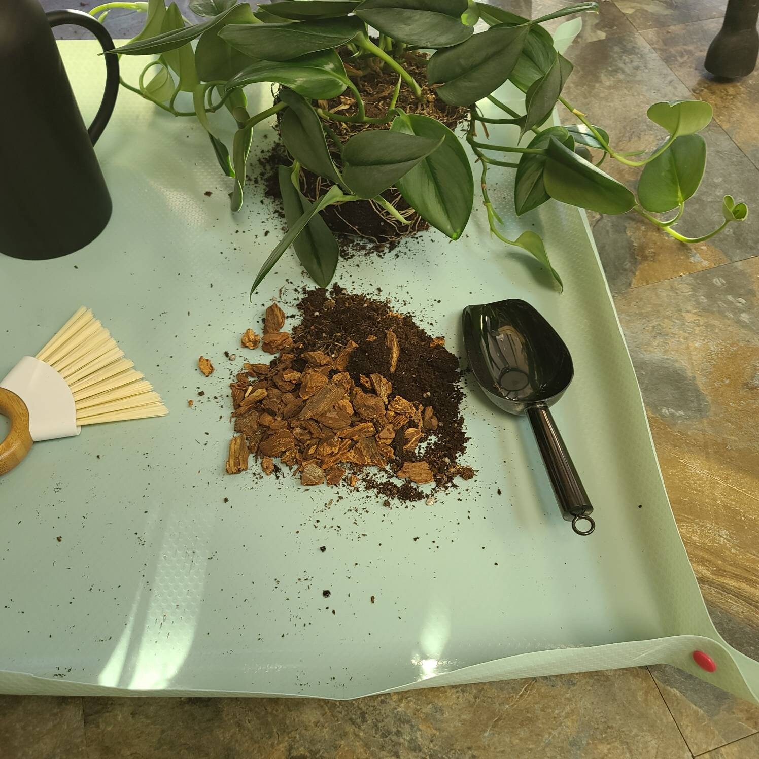Indoor Plant Potting Mat Plant Dad Mom Plant Lady Gift Gardening Gift Transplanting Plant Mat Houseplant Mat Mess Free Repotting Indoor Plant Potting Mat Plant Dad Mom Plant Lady Gift Gardening Gift Transplanting Plant Mat Houseplant Mat Mess Free Repotting