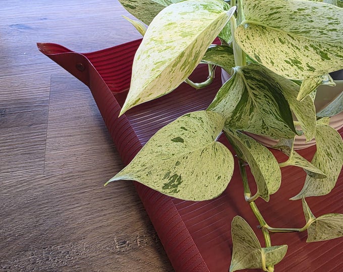 Indoor Mess-Free Houseplant Potting Mat: Waterproof Gardening Workspace for Transplanting & Repotting