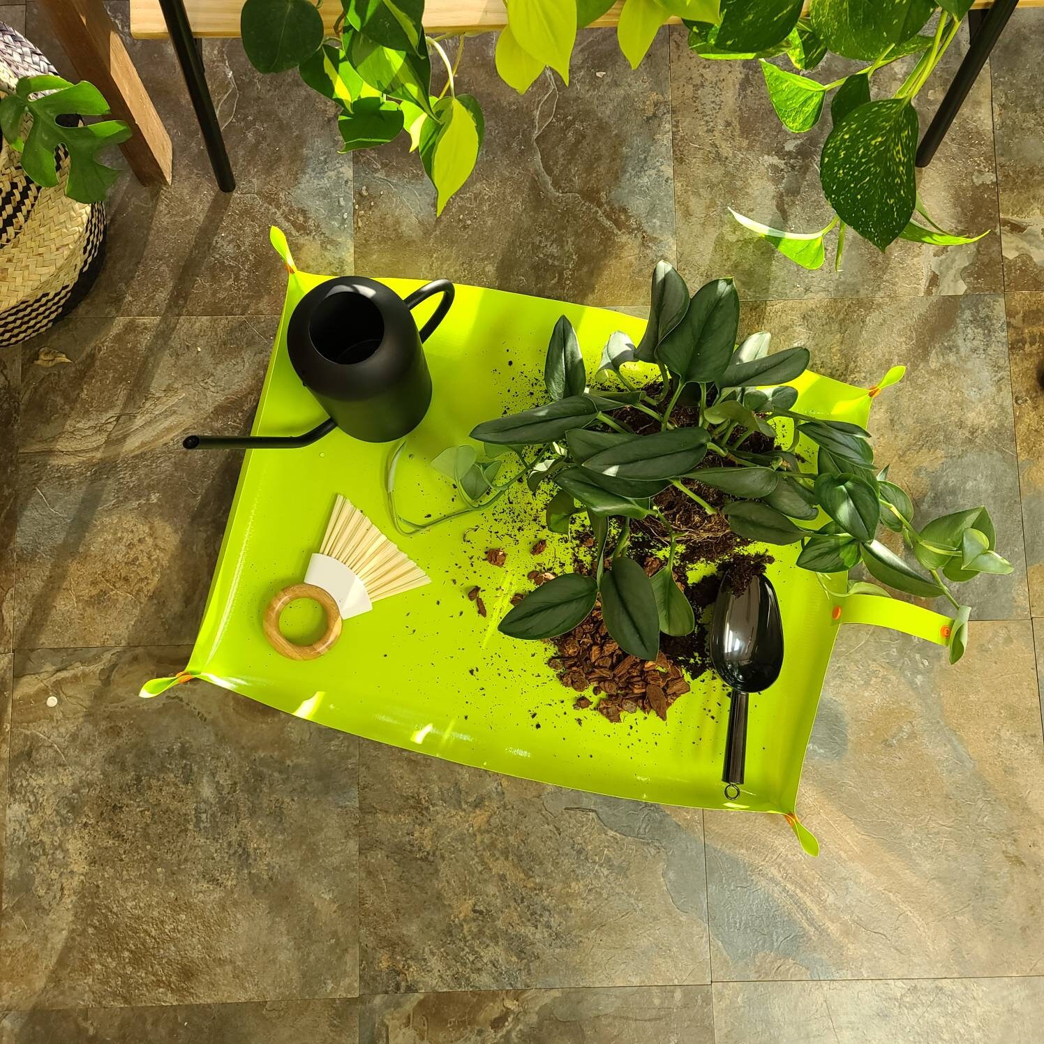 Indoor Plant Potting Mat Plant Dad Mom Plant Lady Gift Gardening Gift Transplanting Plant Mat Houseplant Mat Mess Free Repotting Indoor Plant Potting Mat Plant Dad Mom Plant Lady Gift Gardening Gift Transplanting Plant Mat Houseplant Mat Mess Free Repotting