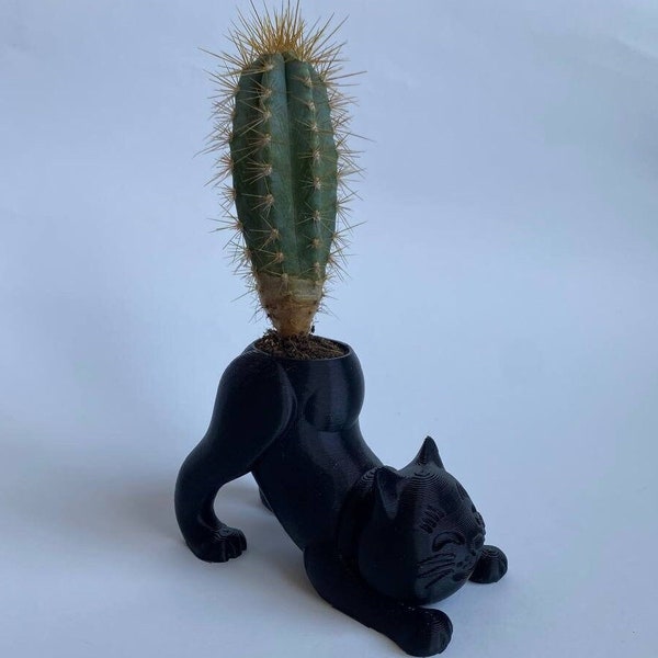 Cat Planter, Cactus Cat Planter, 3D Printed Succulent Planter, indoor pot, cute cat pot