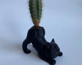 Cat Planter, Cactus Cat Planter, 3D Printed Succulent Planter, indoor pot, cute cat pot