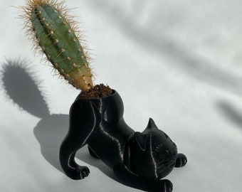 Cat Planter, Cactus Cat Planter, 3D Printed Succulent Planter, indoor pot, cute cat pot