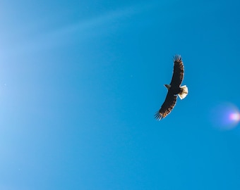 Shamanic journey one on one course