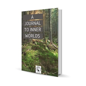 Shamanic journal prompt journey