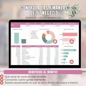 Controla las Finanzas de tu Negocio | Plantilla Contable Fácil | Ingresos, Gastos y Beneficio  Excel y Google Sheets|Usa PROMO25 (descuento)