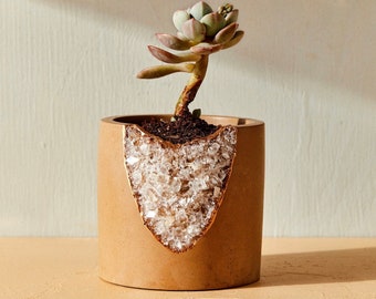 House of Harlow 1960 Creator Collab - Geode Planter, small succulent planter, air plant holder