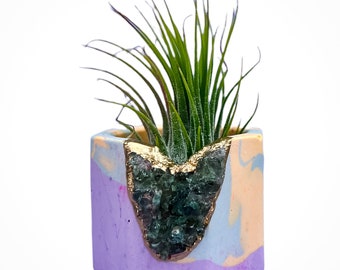 Air Plant Holder | Cement Candle Holder | Air Plant Planter | Succulent Planter