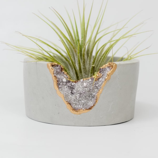 Piccola fioriera succulenta / Mini Air Plant Holder / Cactus Pot
