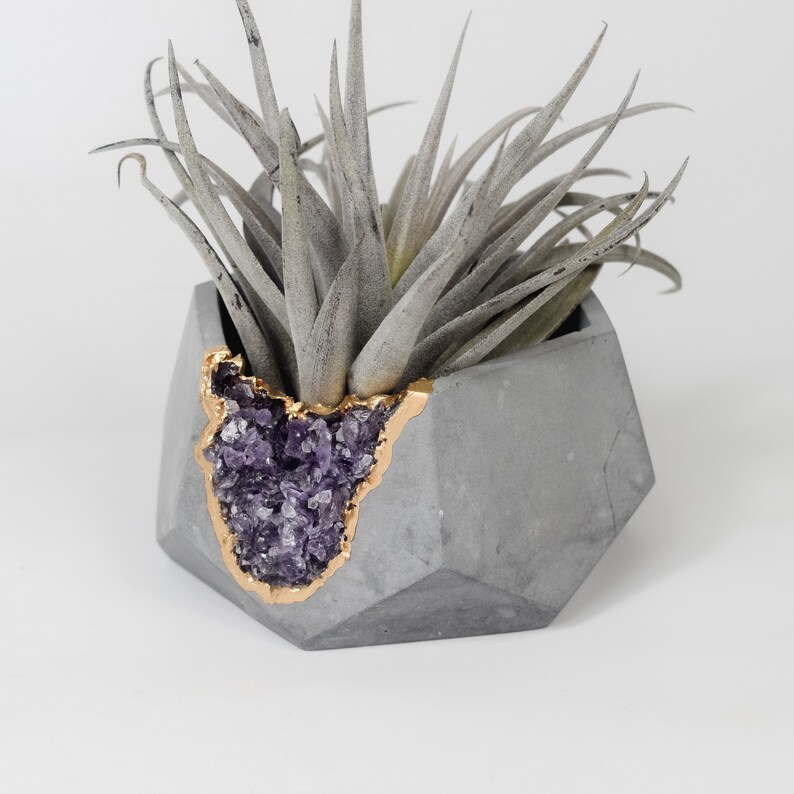Concrete Geode Planter Concrete Planter Air Plant Holder Etsy