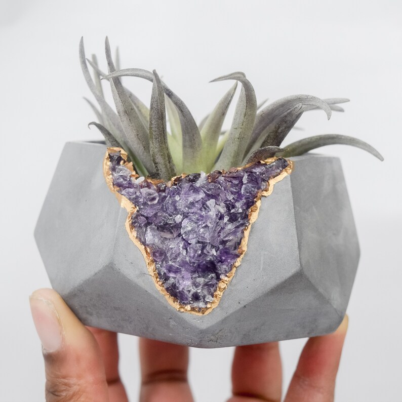 Concrete Geode Planter Concrete Planter Air Plant Holder Etsy