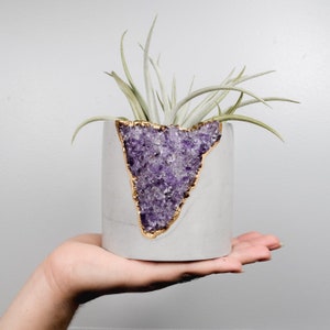 Plant Pot 4 inch Planter Concrete Planter Air Plant Holder image 2