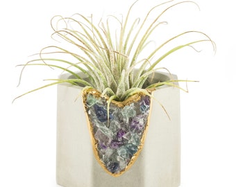 Air Plant Holder | Cement Candle Holder | Air Plant Planter | Succulent Planter