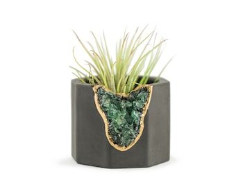 Air Plant Holder | Concrete Candle Holder | Cement Pen Holder