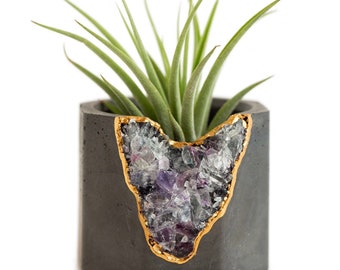 Air Plant Holder | Cement Candle Holder | Air Plant Planter | Succulent Planter