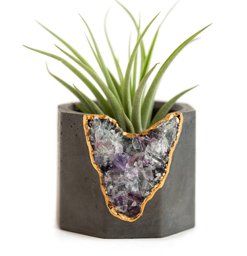 Air Plant Holder Cement Candle Holder Air Plant Planter Succulent Planter image 1