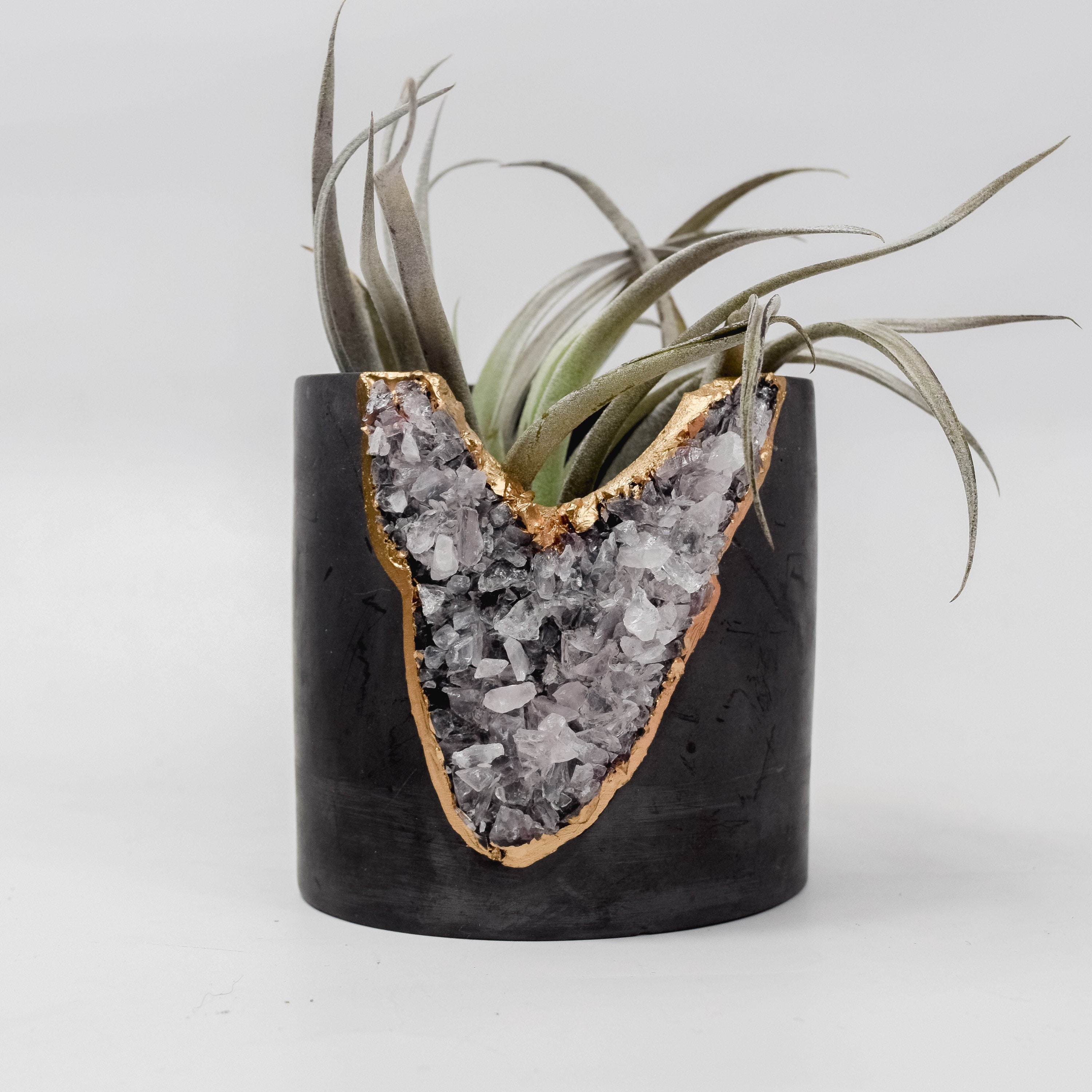 Air Plant Succulent Industrial Decor Concrete Planter Decor Holder Modern Cement Skull Edgy