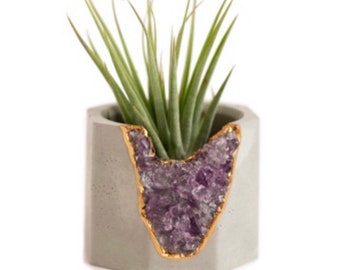 Air Plant Holder | Cement Candle Holder | Air Plant Planter | Succulent Planter