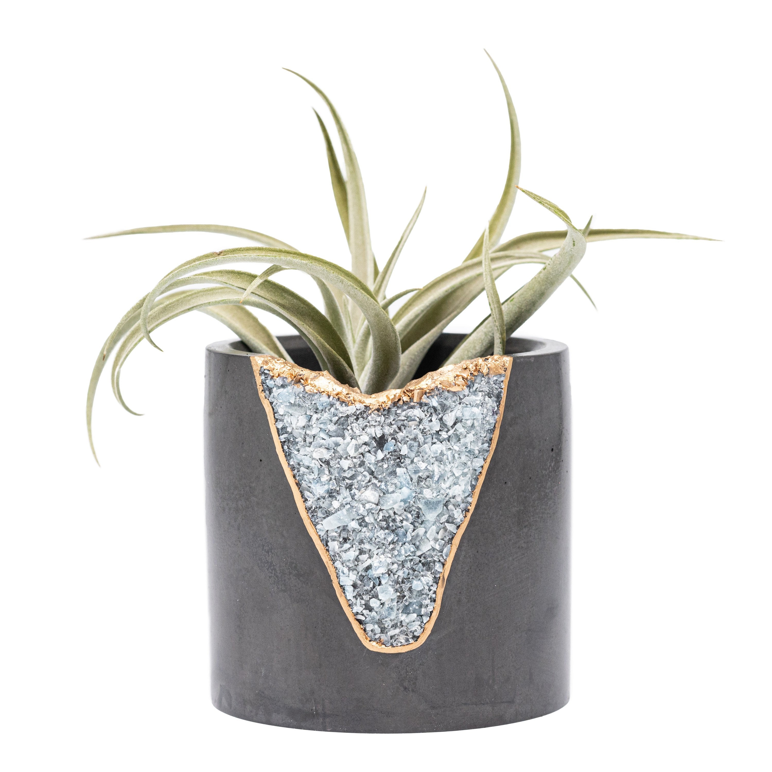Succulent Geode Planter