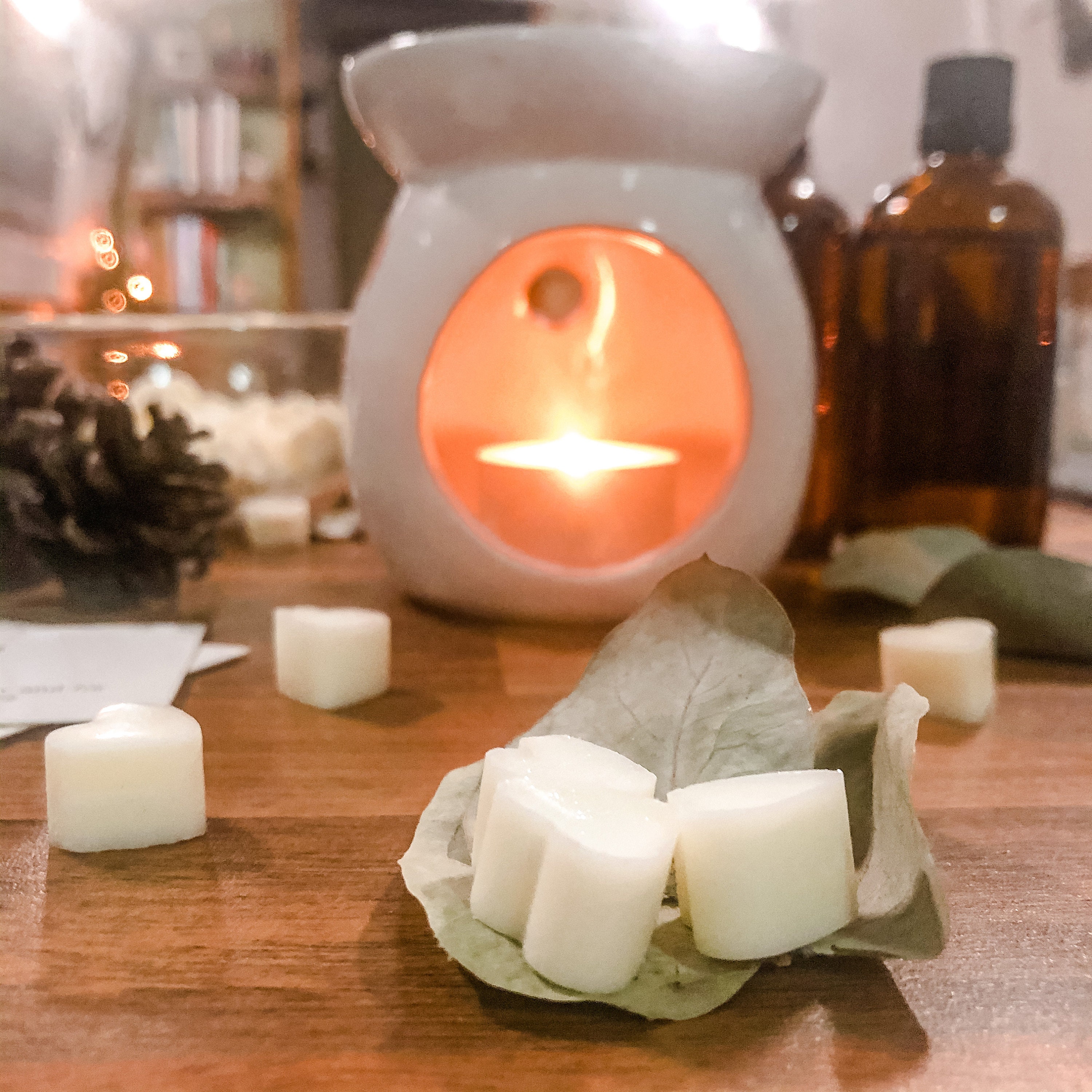 Natural Soy Scented Wax Melts Health Melts to Clear Etsy
