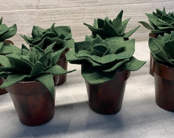 NeW Moss Green Succulents in Hand-painted Paper Mache Pots