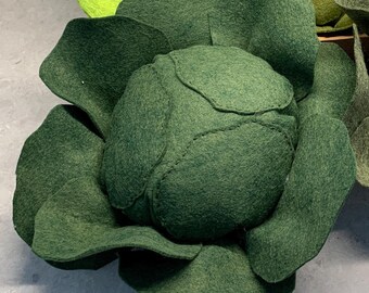 New Cabbage Crop