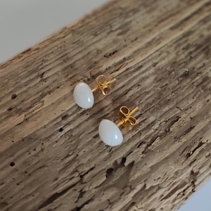 Clous d'oreilles nacrés
